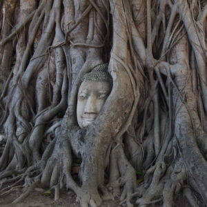 Ayutthaya One Day Tour with Cruise